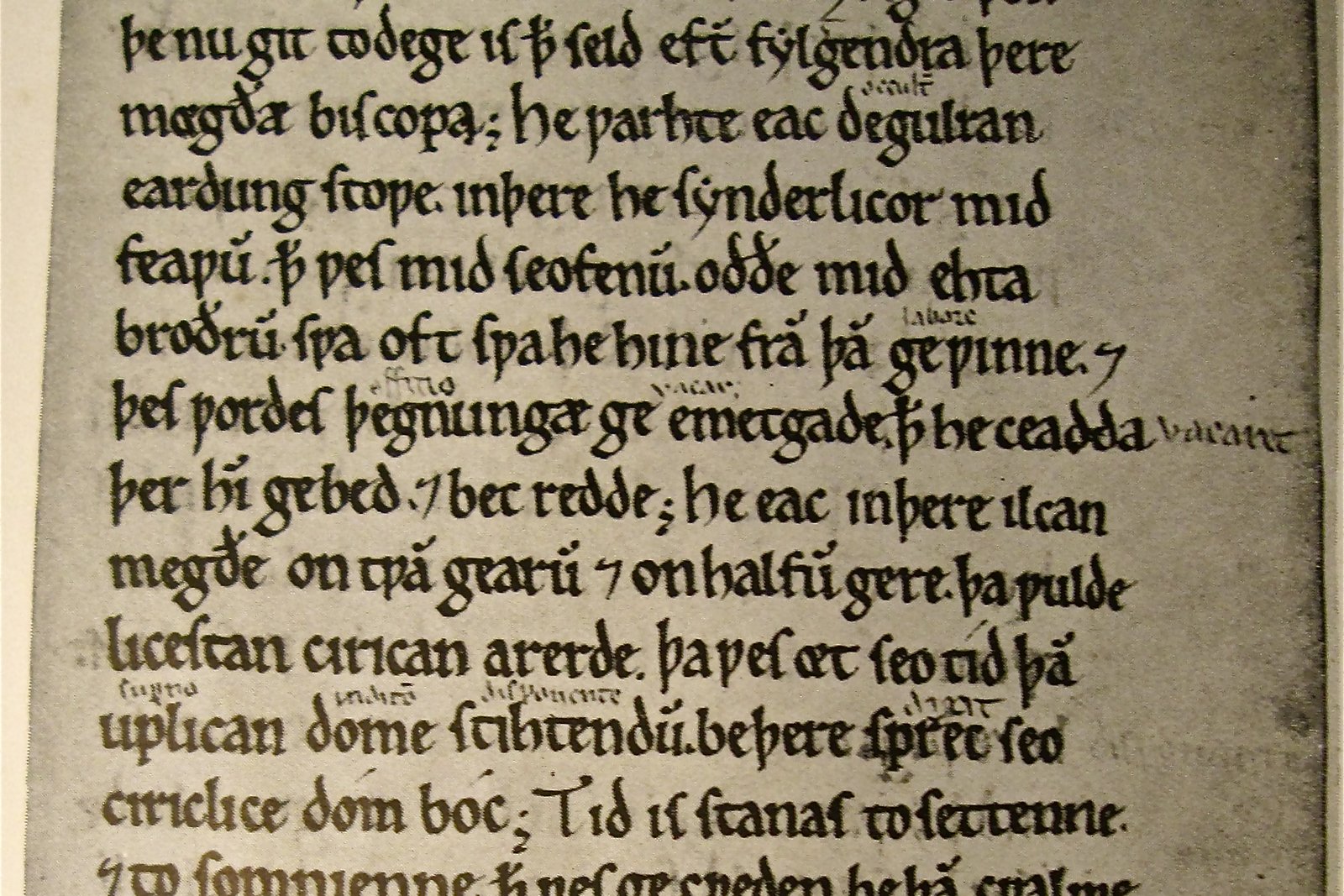A page of Old English manuscript text in dense medieval script, naming the bishop Ceadda (Chad), from a Worcester monastic chronicle.